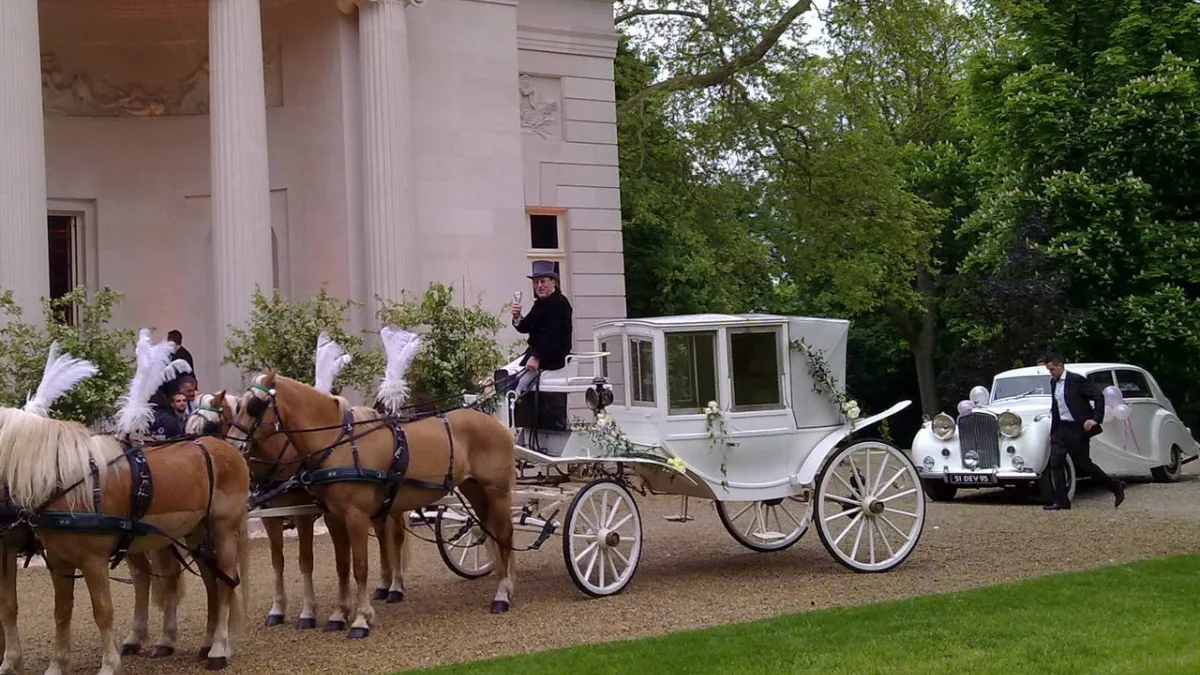 Calèche blanche de mariage attelée à quatre chevaux haflinger aux plumets blancs, devant un château — prestation des Écuries du Vieux Château