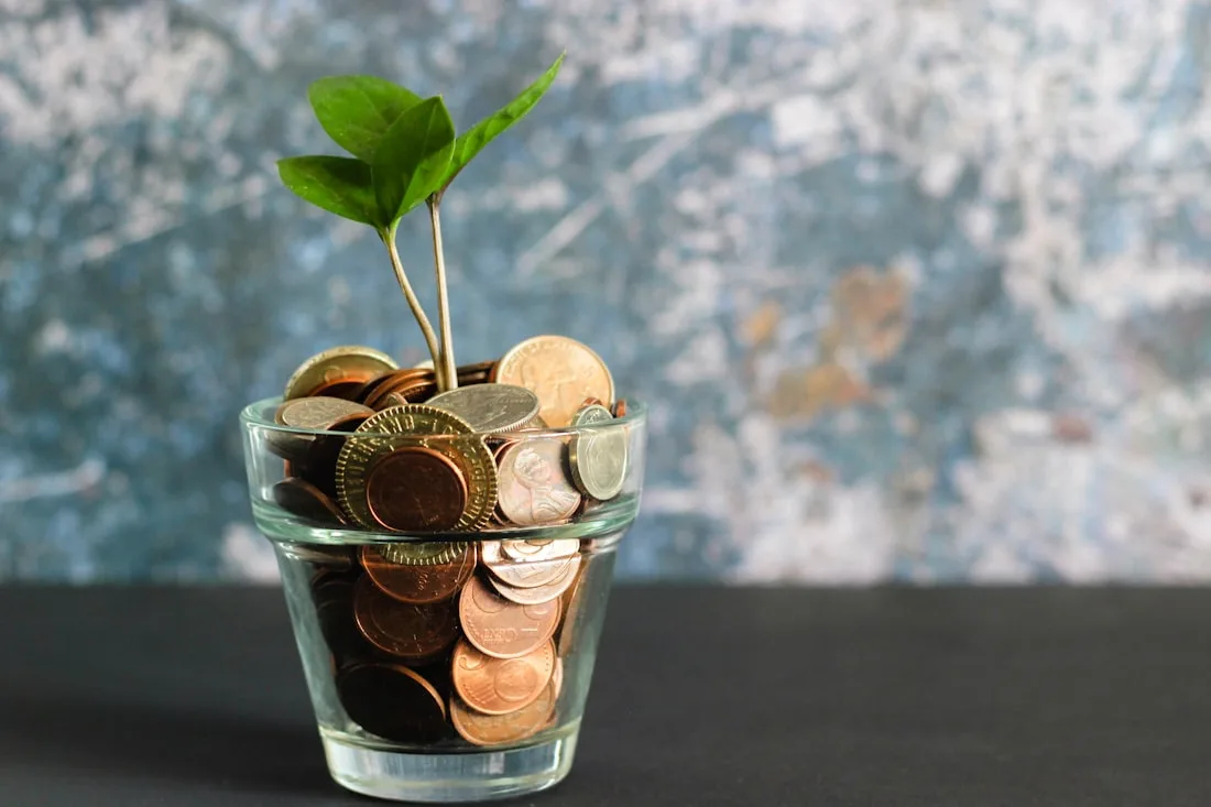 Pièces de monnaie et jeune pousse dans un pot — illustration du budget à prévoir pour la création d'un site internet